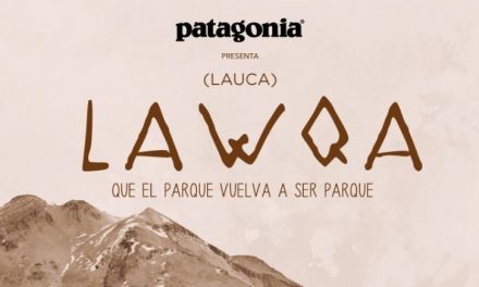 Seis documentales online que invitan a cuidar nuestro entorno