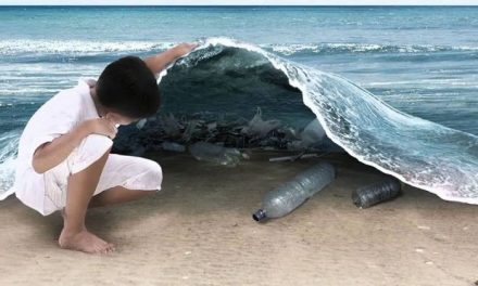 OceansWeek: Siete días para analizar la problemática de los océanos