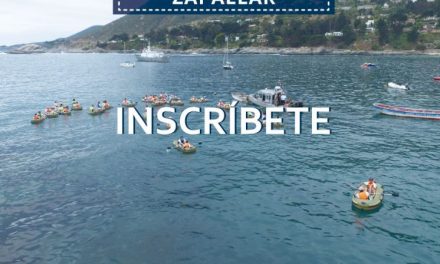 Remando Tour 2018 reunirá a las familias y amigos en torno al deporte