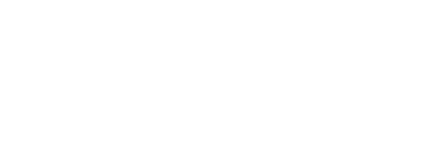 logo-white_northface